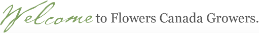 Welcome to Flowers Canada Growers